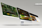 Diseño de paginas Web